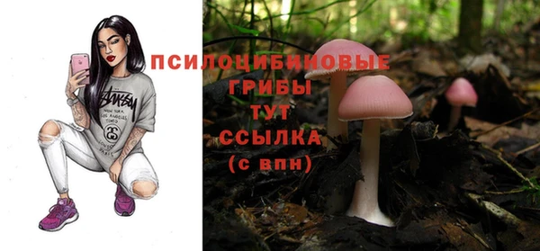 MDMA Горнозаводск