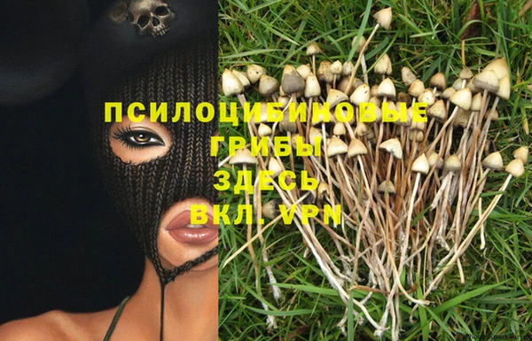 jwh Горно-Алтайск