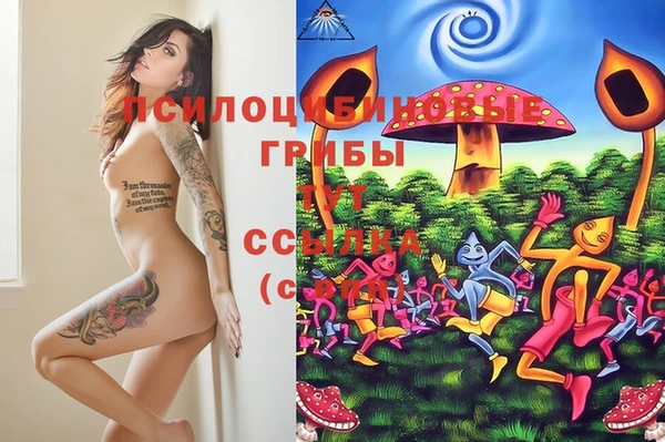 гашиш Горняк